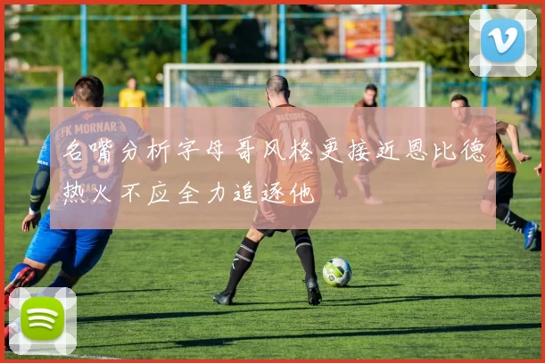 名嘴分析字母哥风格更接近恩比德热火不应全力追逐他