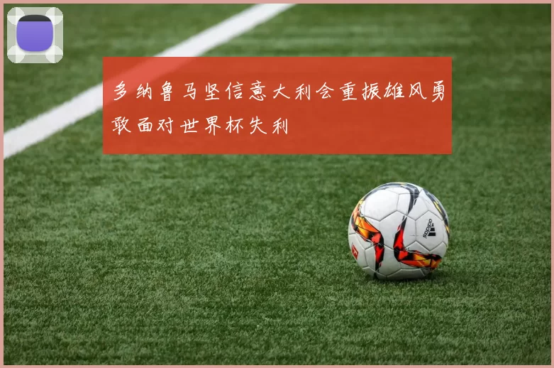 多纳鲁马坚信意大利会重振雄风勇敢面对世界杯失利