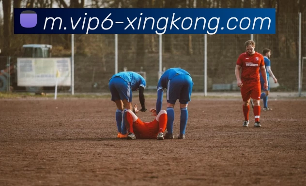 星空体育品牌故事