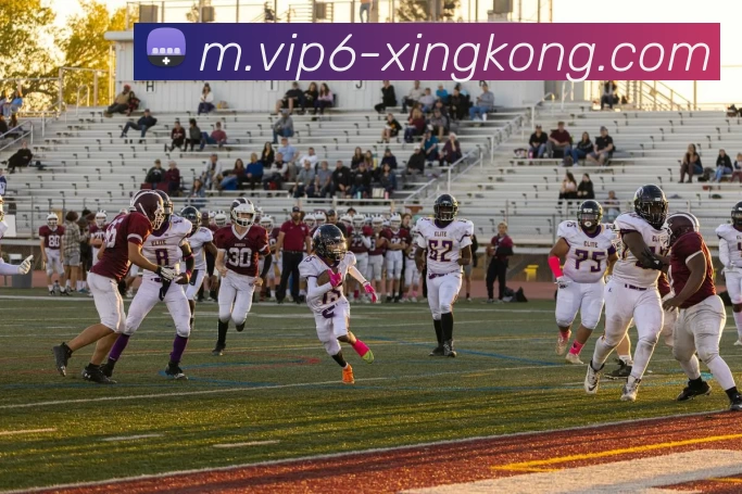 星空体育APP 体育赛事宣传图